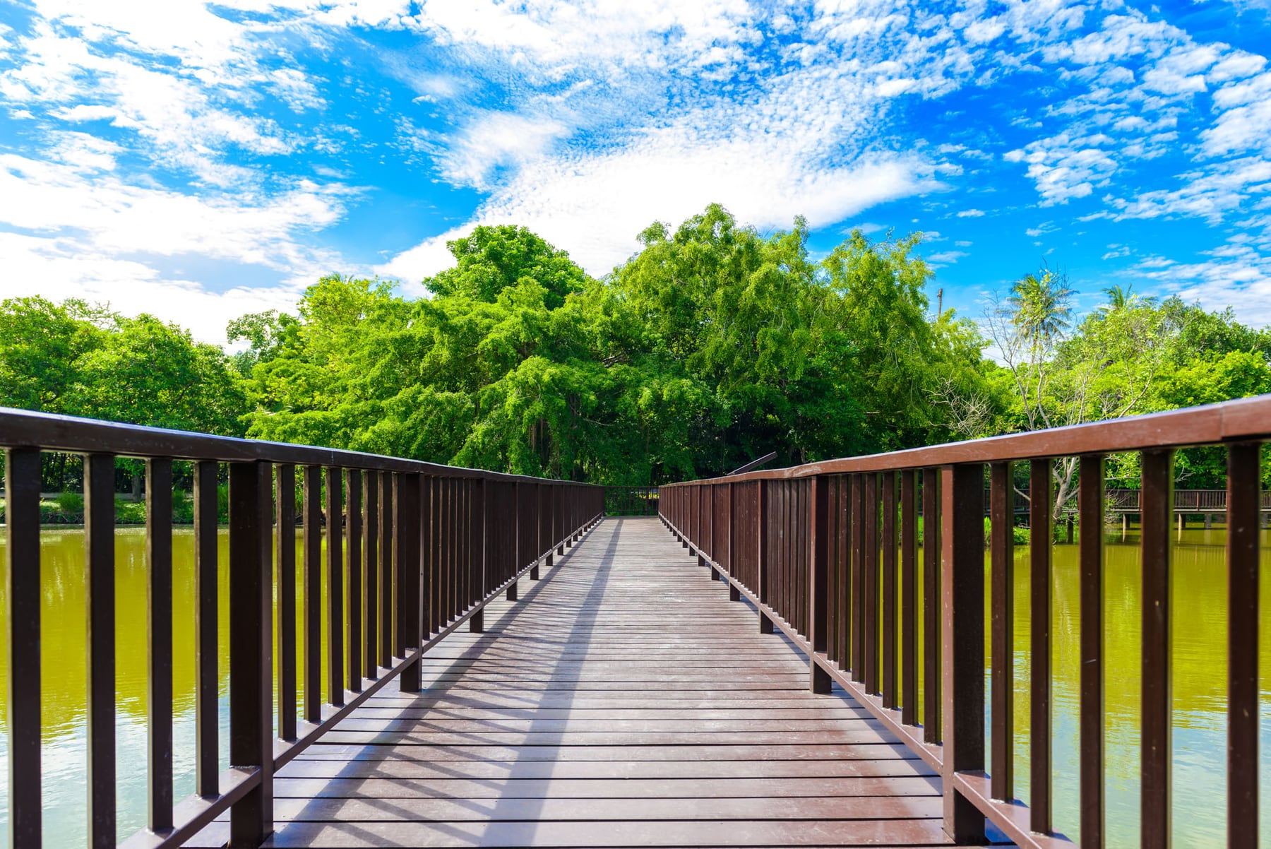 สะพานไม้ในสวนศรีนครเขื่อนขันธ์ บางกระเจ้า